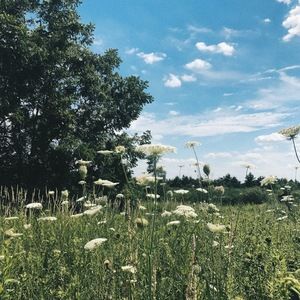 Meet your Posher, Audrey